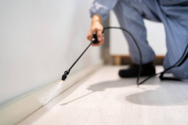 Bed Bug Pre-Treatment Preparation Assessment in Bement