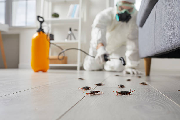 Post-Treatment Bed Bug Interceptor Monitoring in Bement