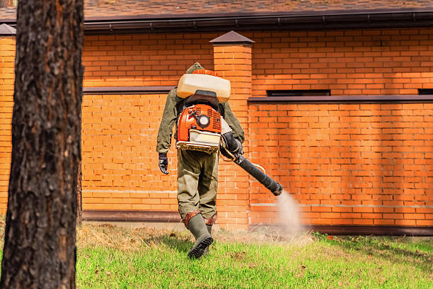 Bed Bug Clearance Verification and Documentation in Bement